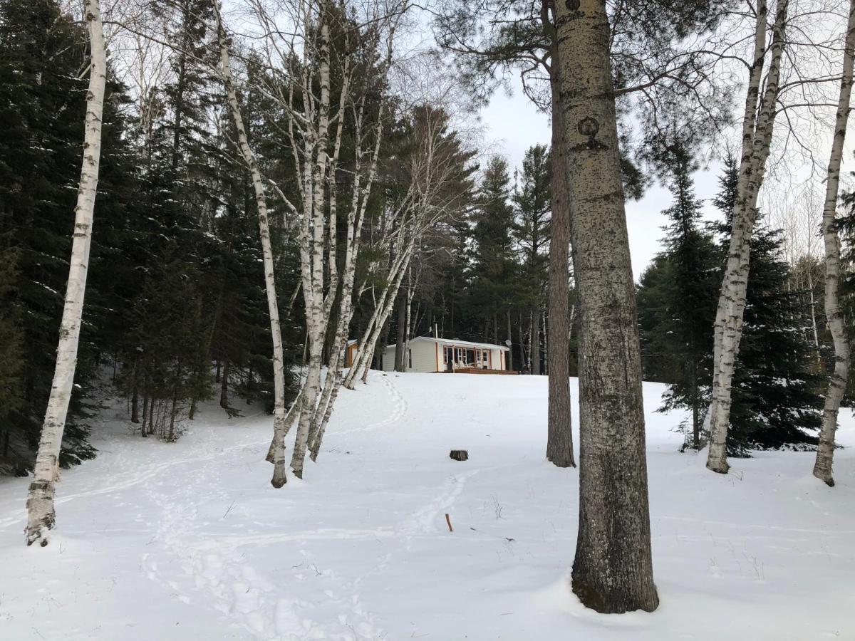Chalet Sous Les Pins Les Eboulements Exterior photo