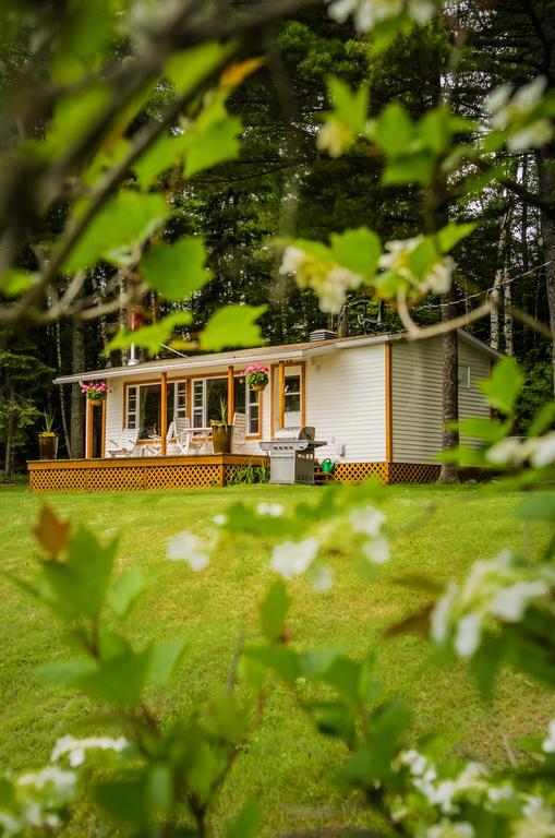 Chalet Sous Les Pins Les Eboulements Room photo