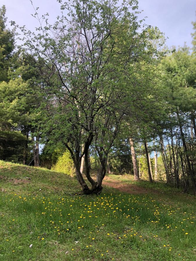 Chalet Sous Les Pins Les Eboulements Exterior photo