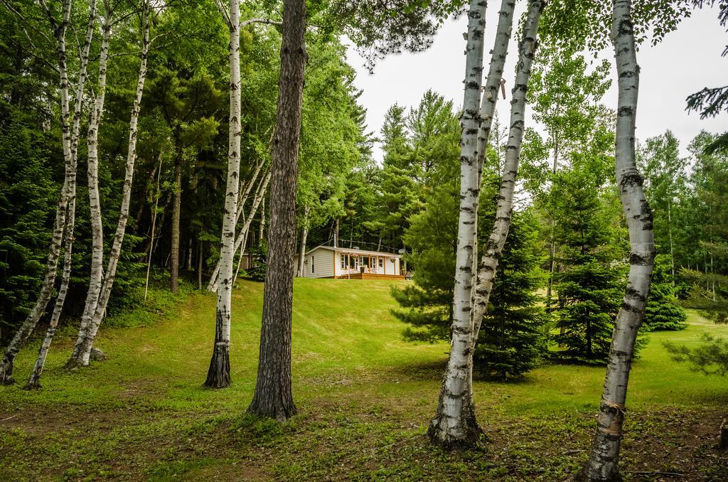 Chalet Sous Les Pins Les Eboulements Room photo